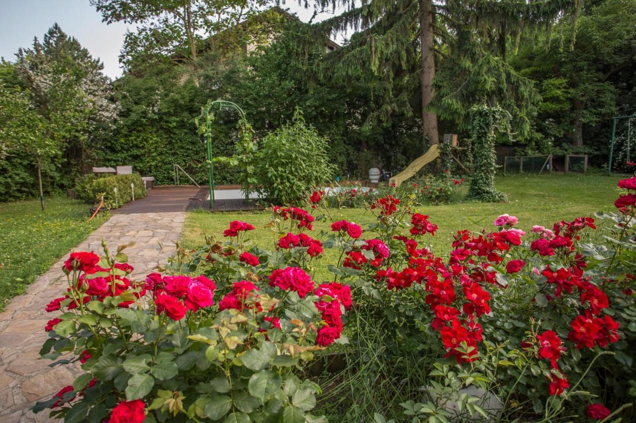 Huebsches Privatzimmer Mit Bad Perchtoldsdorf Exterior foto
